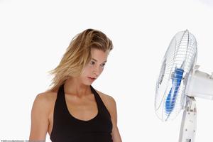 Original 1536 px/ 1024 px