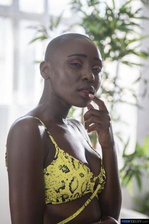 Original 1441 px/ 2160 px