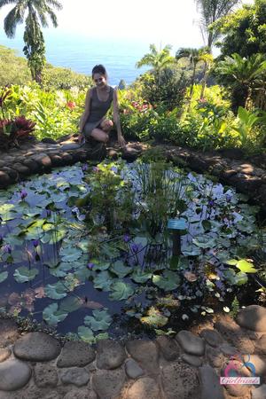 Original 2000 px/ 3000 px