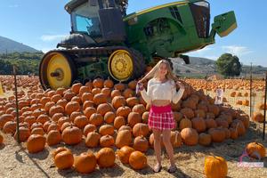 Original 3000 px/ 2000 px