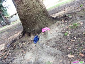 Original 1620 px/ 1210 px