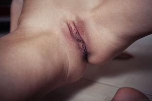 Original 4324 px/ 2883 px