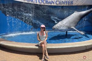 Original 3000 px/ 2000 px