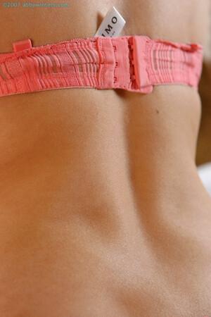 Original 981 px/ 1472 px