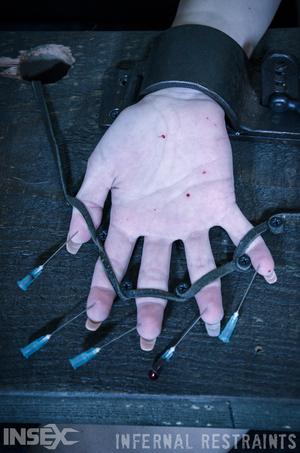 Original 795 px/ 1200 px