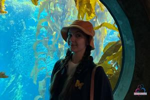 Original 3000 px/ 2000 px