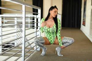 Original 2495 px/ 1663 px