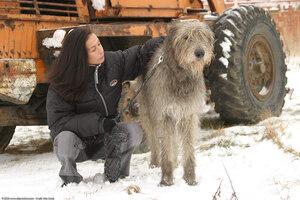 Original 1536 px/ 1024 px