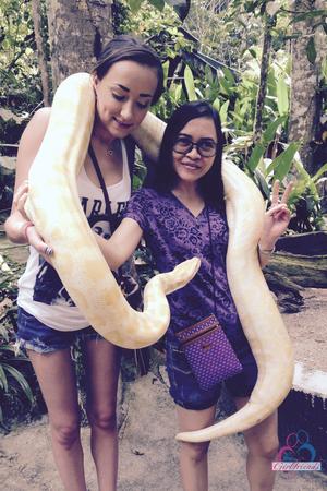 Original 2000 px/ 3000 px