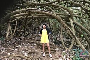 Original 3000 px/ 2000 px