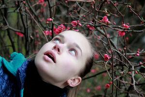 Original 5616 px/ 3744 px