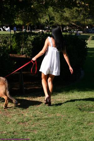 Original 1333 px/ 2000 px