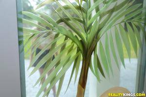 Original 3840 px/ 2560 px