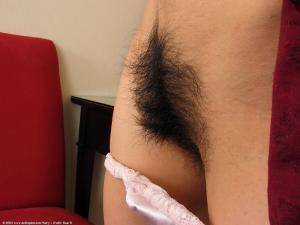 Original 1024 px/ 768 px