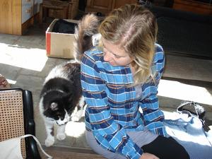 Original 1470 px/ 1103 px