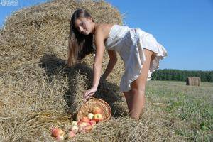 Original 897 px/ 600 px