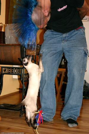 Original 1024 px/ 1536 px