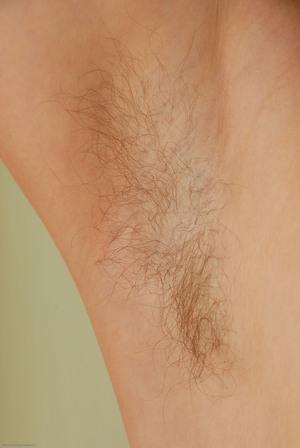 Original 2008 px/ 3000 px