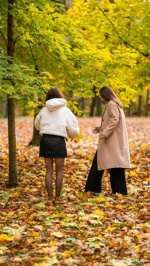 Original 3376 px/ 6000 px