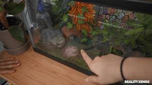 Original 1920 px/ 1080 px