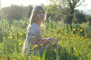 Original 3932 px/ 2617 px