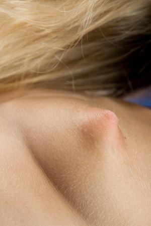 Original 2336 px/ 3504 px