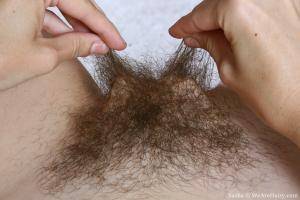 Original 3000 px/ 2000 px