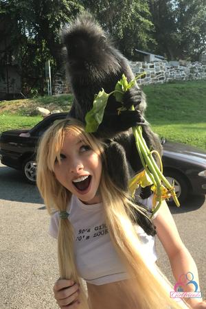 Original 2000 px/ 3000 px