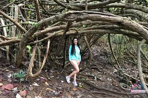 Original 3000 px/ 2000 px