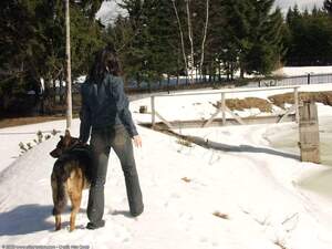 Original 1600 px/ 1200 px