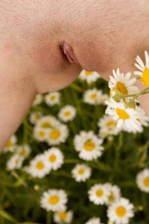 Original 3456 px/ 5184 px