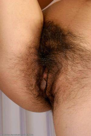 Original 682 px/ 1024 px