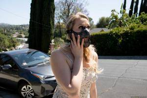 Original 2495 px/ 1663 px