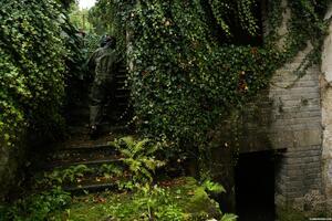 Original 4000 px/ 2667 px