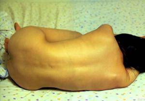 Original 1200 px/ 835 px