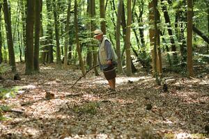 Original 3500 px/ 2333 px