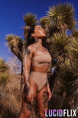 Original 2000 px/ 3000 px