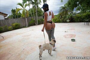 Original 1620 px/ 1080 px