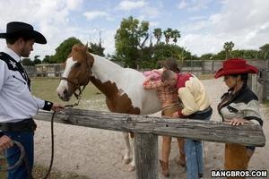 Original 800 px/ 533 px