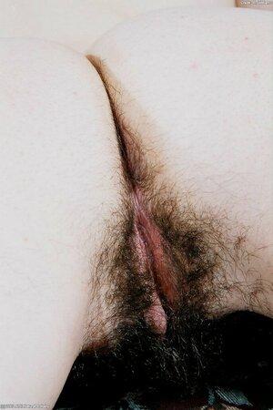 Original 683 px/ 1024 px