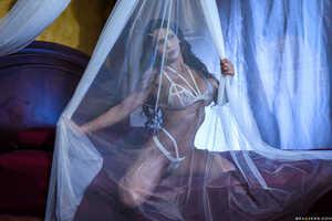 Original 2491 px/ 1663 px