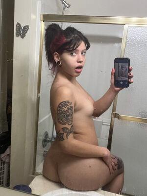 Original 1536 px/ 2048 px