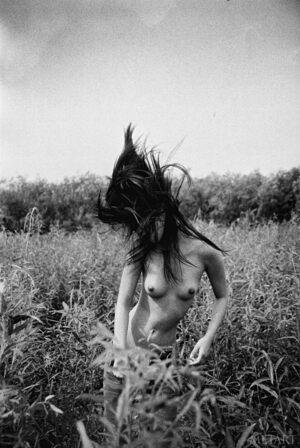 Original 1472 px/ 2200 px