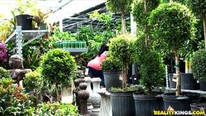 Original 3840 px/ 2160 px