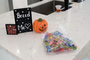 Original 7952 px/ 5304 px