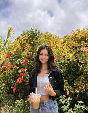 Original 1284 px/ 1656 px