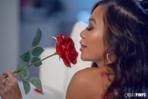 Original 6000 px/ 4000 px