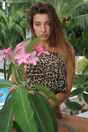 Original 1000 px/ 1500 px