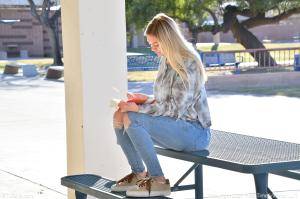 Original 4000 px/ 2662 px