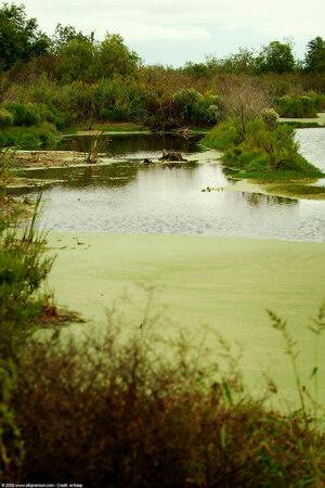 Original 1024 px/ 1536 px